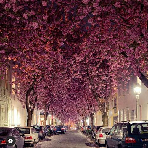 محمود براک توی خاطرات من کم رنگ نمیشی اصلا تورو میخوام